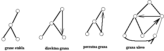 DFS stablo usmerenog grafa i njegove grane
