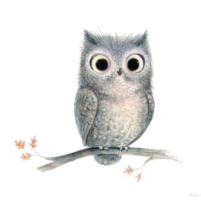 Barn owl Bird Clip art - owl @kisspng