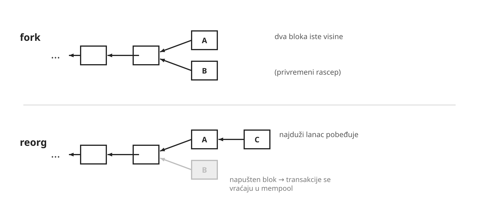 Fork i reorganizacija lanca